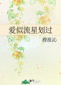 《爱似流星划过》