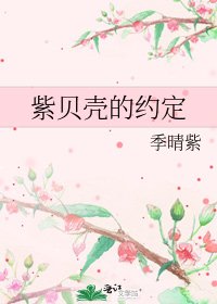 《紫贝壳的约定》