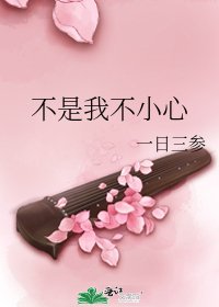 《不是我不小心》
