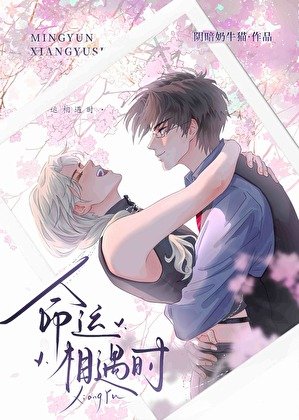 《命运相遇时》