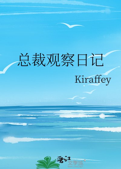 《总裁观察日记》