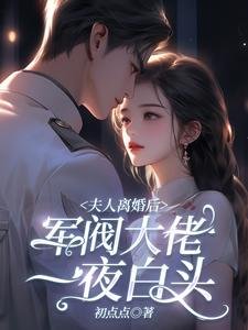 《夫人离婚后,军阀大佬一夜白头》