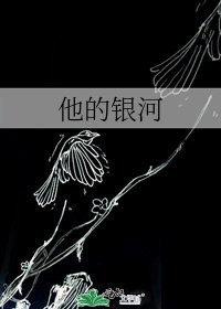 《他的银河》